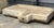 Rustic European Rare 18th Century Antique French Stone Sink/Basin For Sale - Image 3 of 9