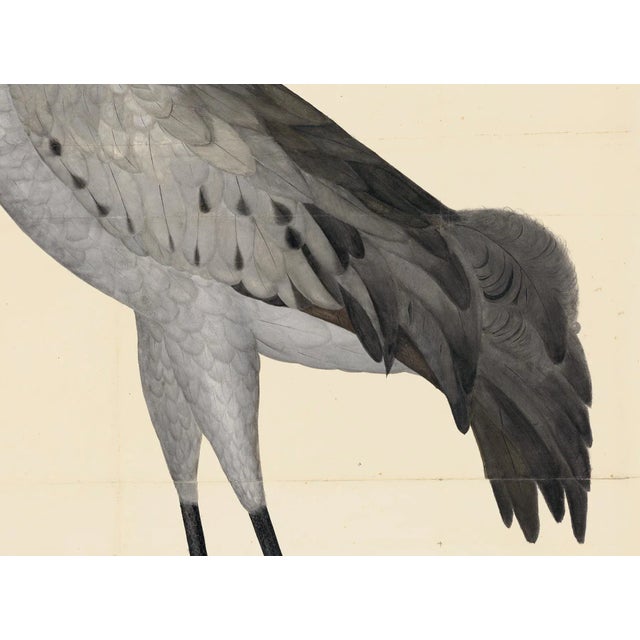 Illustration Blue Birds Prints With Roma Moulding - a Pair For Sale - Image 3 of 12