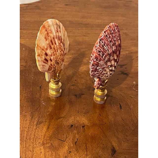 Pair of Coastal Sea Shell Lamp Finials Bronze For Sale - Image 4 of 4
