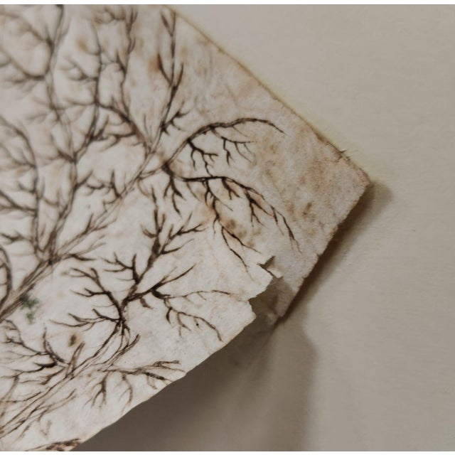 Black Dutch Artist, Landscape, Indian Ink Drawing, 1680 For Sale - Image 8 of 9