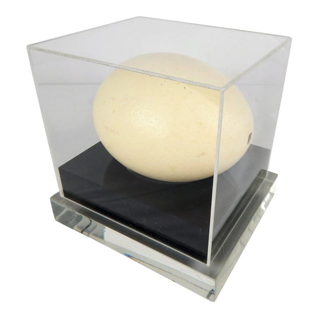 Lucite Display Case With Ostrich Egg For Sale