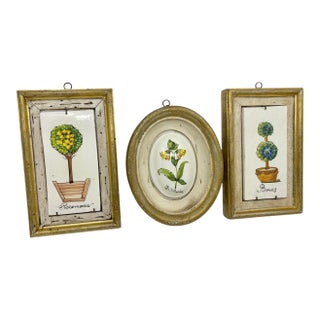 Vintage French Style Topiary Framed Wall Art - A Set of 3 For Sale