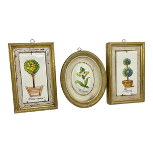 Vintage French Style Topiary Framed Wall Art - A Set of 3