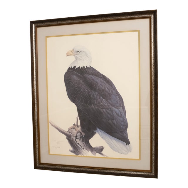 James Fenwick Artist Signed Bald Eagle Lithograph Print For Sale