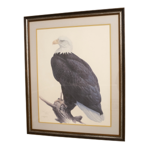 James Fenwick Artist Signed Bald Eagle Lithograph Print