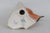 Goebel W Germany Cv84 Nuthatch Figurine 1967 Porcelain Bird on Branch 4898b For Sale - Image 18 of 18