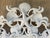 Vintage Coastal Cast Iron Shell & Starfish Wall Mirror For Sale - Image 10 of 15