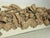 Antique French Architectural Carved Wood Fragment For Sale - Image 9 of 17