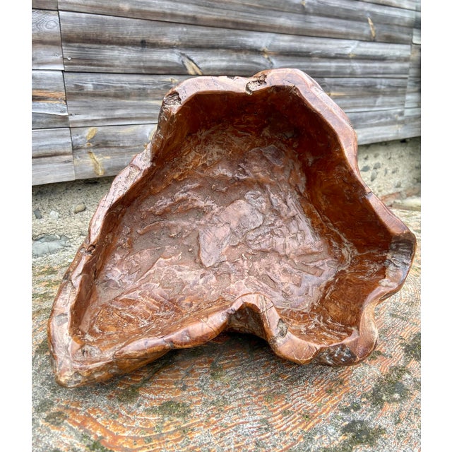Large Sculptural Olive Wooden Bowl, 1960s For Sale - Image 4 of 8