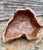 Large Sculptural Olive Wooden Bowl, 1960s For Sale - Image 4 of 8