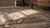 Gray 1900s Gray Geometric Tribal Antique Persian Gabbeh Rug 5' X 7' Handknotted Wool Carpet For Sale - Image 8 of 9