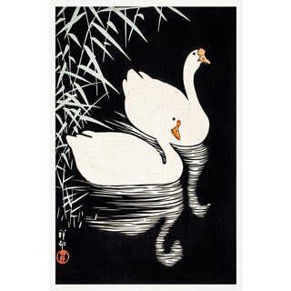 White Chinese Geese Swimming, Vintage Japanese Woodblock Print Reproduction, 24" X 36" For Sale