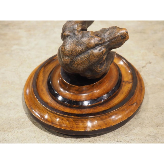 A Signed Antique French Medallion Bronze Bust of the St. Hubert Hound (1851-1925) For Sale - Image 12 of 15