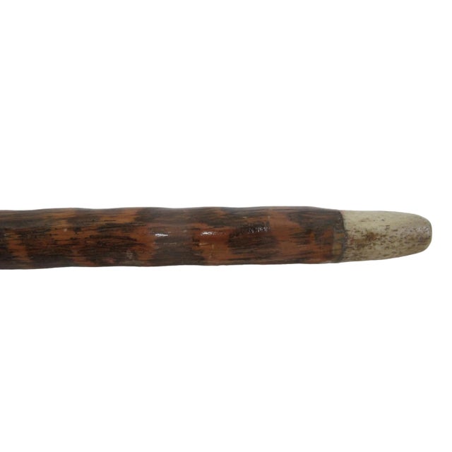 Carved Deer Stag Antler Snuff Box Walking Stick Cane With Hidden Corkscrew For Sale - Image 9 of 10