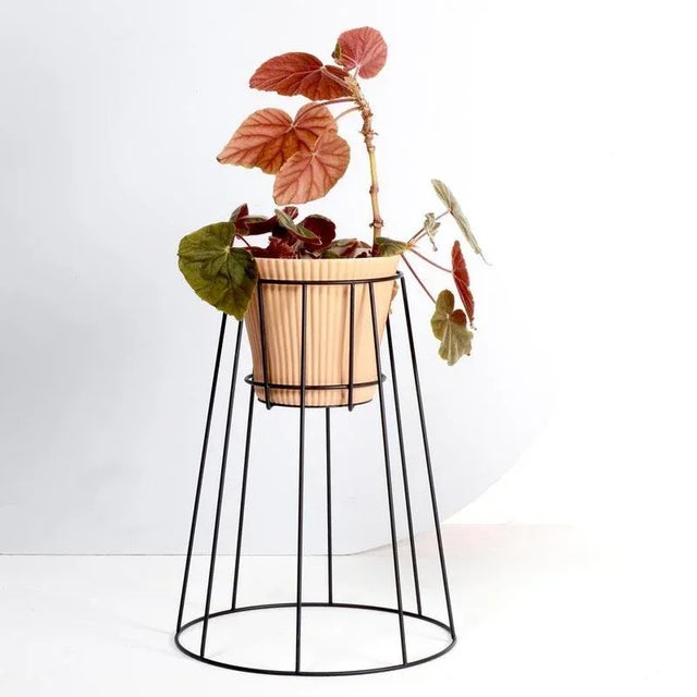 Not Yet Made - Made To Order Black Cibele Plant Stands by OK Design, Set of 3 For Sale - Image 5 of 8