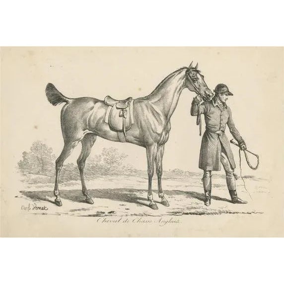 Horse Used for Hunting in England, 1890s, Paper For Sale - Image 6 of 6
