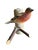 1950s Wood Carved Bird 88 Austria For Sale - Image 5 of 5