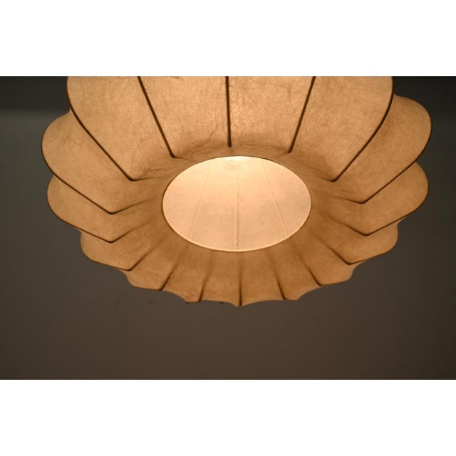 Large Mid-Century Beige Flower Cocoon Pendant by Achille Castiglioni for Hille, Italy, 1960s For Sale - Image 10 of 14