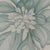 Margot Weemaes 1981 Pittosporum Tobira Botanical Portfolio Print For Sale - Image 9 of 12