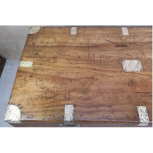 Large Antique 19th Century Camphor Wood Trunk, Hong Kong, 1890s For Sale - Image 6 of 12