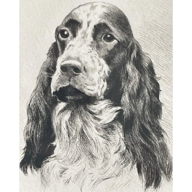 Mid 20th Century Vintage Portrait of an English Setter Sign by the Artist For Sale - Image 5 of 6