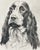 Mid 20th Century Vintage Portrait of an English Setter Sign by the Artist For Sale - Image 5 of 6