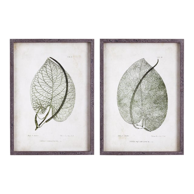 Cordate Leaf Study, Set Of 2 For Sale