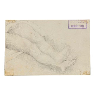 Luigi Galli, Anatomical Studies, Late 19th Century, Pencil on Paper For Sale