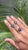 Metal Art Deco Floral Blue Sapphire Stud Earrings - 2 Pieces For Sale - Image 7 of 14