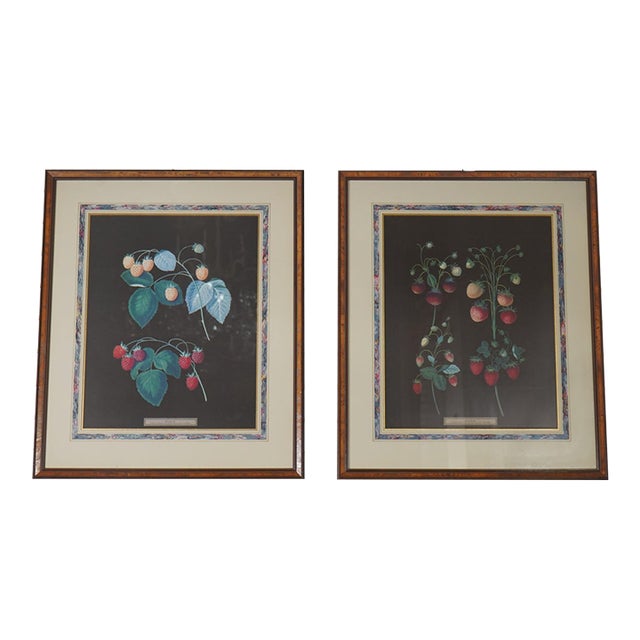 1960s Pair of Berry Prints by George Brookshaw For Sale