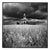 Paul Cooklin, Happisburgh Lighthouse II, Norfolk, Edition of 50 For Sale