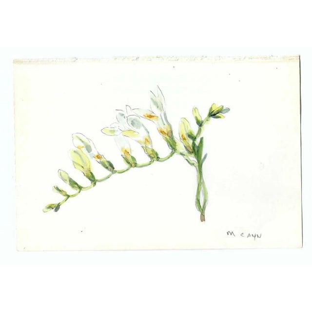 Botanical watercolor by New York artist Myriam Cahn (1933-2018). Salmagundi Club named an award after her in 2019. Signed...