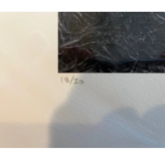 Contemporary Germán Herrera "Unravel" Limited Edition Signed Pigment Print (18/20), 2002 For Sale - Image 3 of 5