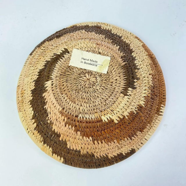 Early 20th Century Botswana Basket 6inch MATTER COLLECTION For Sale - Image 4 of 7