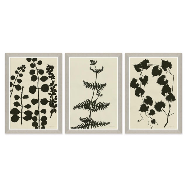 Not Yet Made - Made To Order Ink on Paper - Fern, Vine, and Branches by Susan Hable For Sale - Image 5 of 5