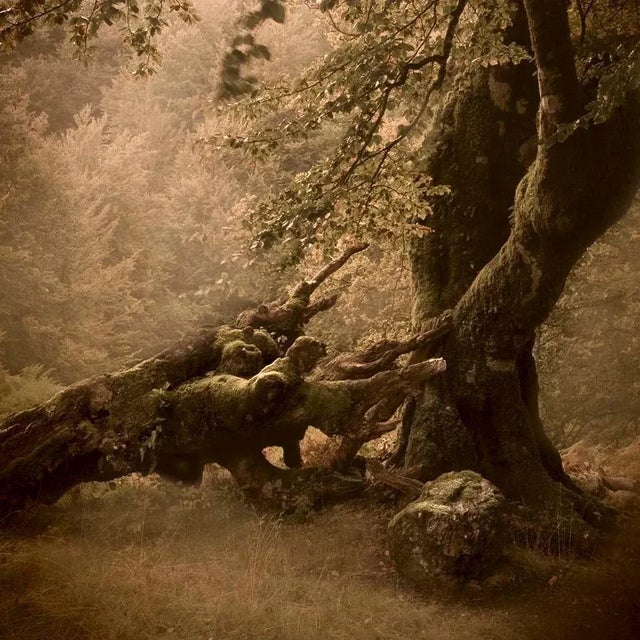 Primo Tempo 5 is a 30x30cm Digital Print on 50x50cm Cotton Paper available in this size in an edition of 9 plus 2 Artists’...