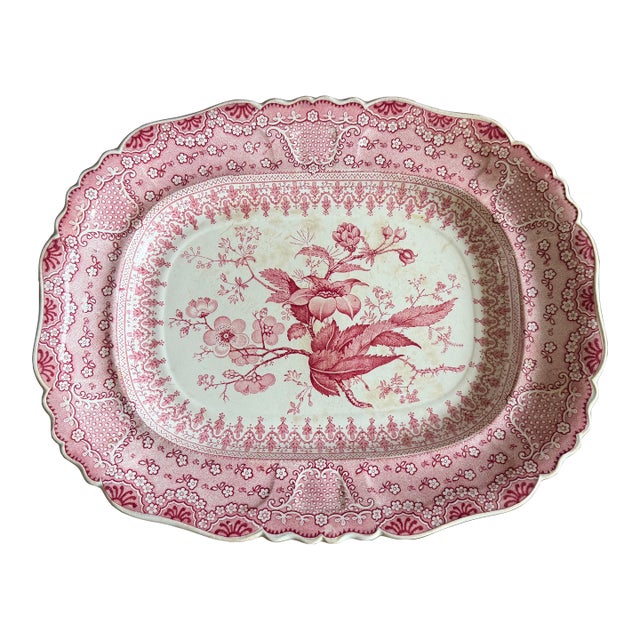 A Very Fine Antique Pink Transferware Decorated Staffordshire Platter "Asiatic Plants" Pattern, Circa 1840's For Sale