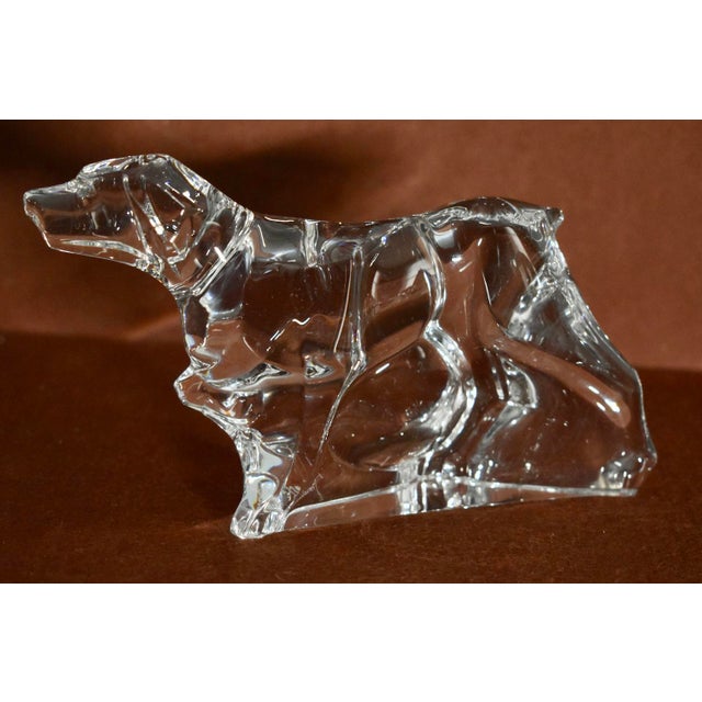 Traditional Baccarat Crystal German Pointer Dog Figurine Paperweight For Sale - Image 3 of 13