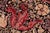 Shabby Chic 1990's Gulshan Pak-Persian Black/Red Wool Rug - 8'1'' X 9'10'' For Sale - Image 4 of 9
