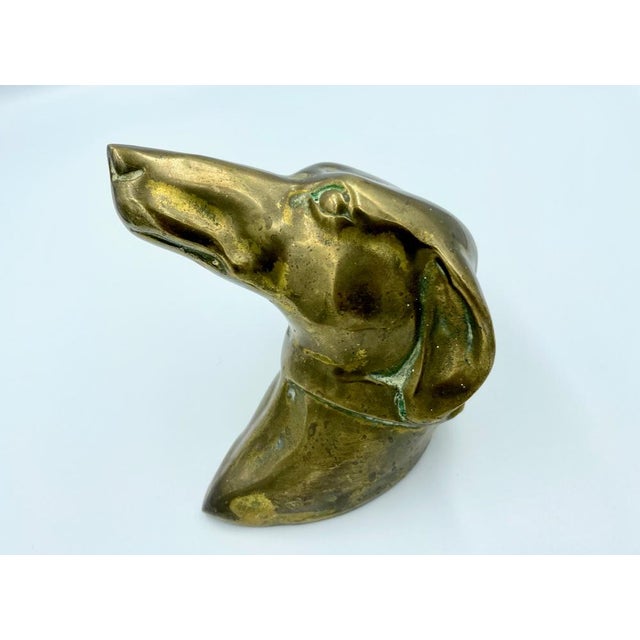French Brass Greyhound Head, 1950s For Sale - Image 11 of 12