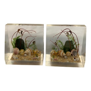 Vintage Lucite Seahorse Sea Life Bookends For Sale