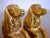 Gold Plated Afghan Hound Bookends - a Pair For Sale In Raleigh - Image 6 of 7