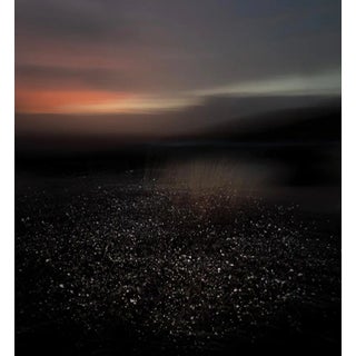 The Shimmering 2023 For Sale