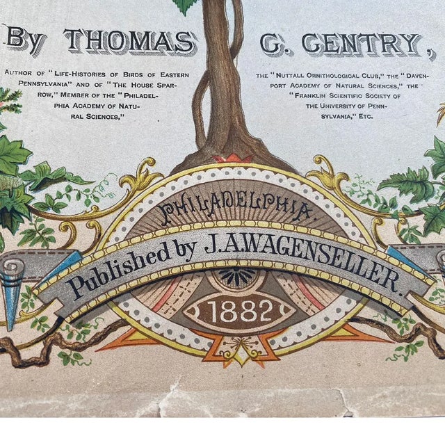 Rare Book Thomas G. Gentry Nests and Eggs of Birds of the United States For Sale - Image 4 of 16