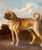 1980s 20th Cen. Large Oil Painting Portrait of a Pug Dog Signed Shipley For Sale - Image 5 of 12