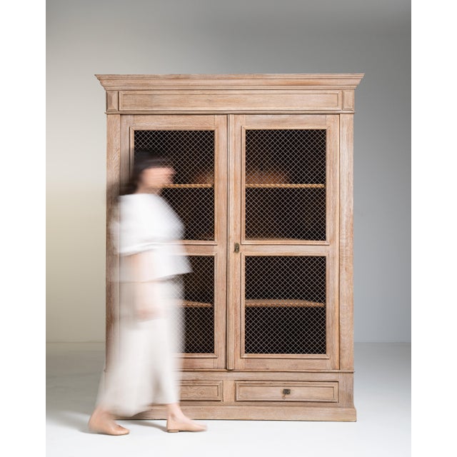 Louis Philippe Vitrine with Mesh Doors, Antique, France, Circa 1880 For Sale - Image 4 of 17