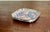 18th Century Qing Dynasty Canton Enamel Dish - Qianlong Period (1736-1795) For Sale - Image 10 of 13