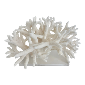 Extraordinary Natural Staghorn Coral on Acrylic Base