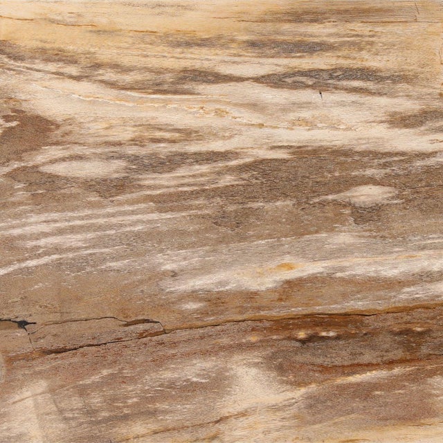 2020s Petrified Wood & Bronze Console Table For Sale - Image 5 of 5