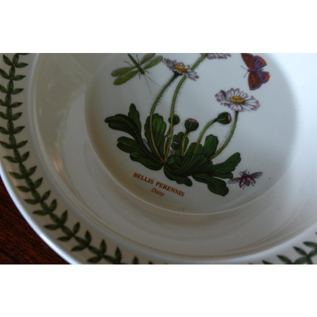 1980s Vintage Portmeirion Botanic Garden Pasta Bowls Set of 2 For Sale - Image 5 of 6